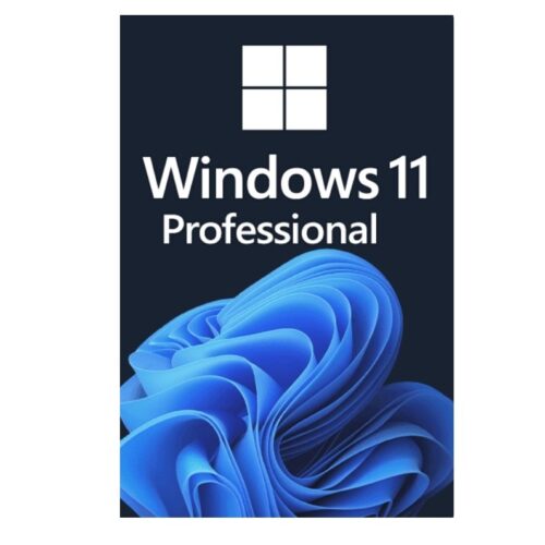 Microsoft Windows 11 Pro